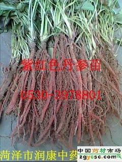 菏泽市润康中药材研究所 - 供应产品