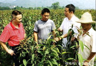 农业农村产业化生产概念