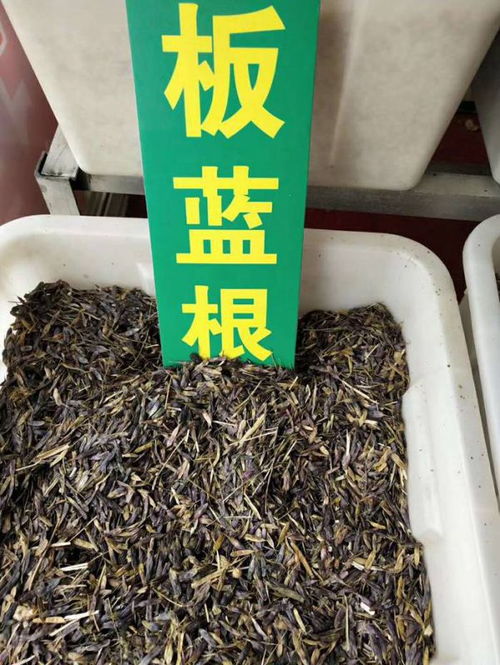 价格 厂家 中国供应商