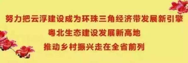 【乡村美景】株株药苗显生机,云浮前锋镇这个村赞!