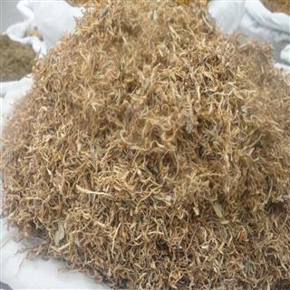 金银花 最实惠的药用金银花批发 制药厂投料 提取高质量药材