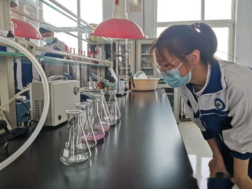 开展一次科普宣传 深埋一颗梦想种子 濮阳市第七中学开展食品药品检验检测研学活动