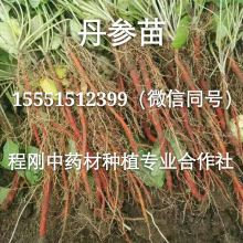 白山市爱心种苗种植专业合作社