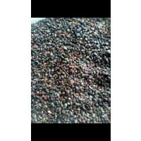 山西药材种子种苗品牌大全