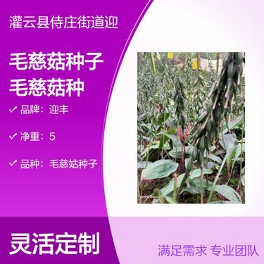 全国中草药种苗基地