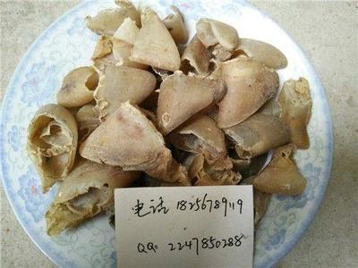 【浙江牡丹苗价格】价格,厂家,其他种子种苗