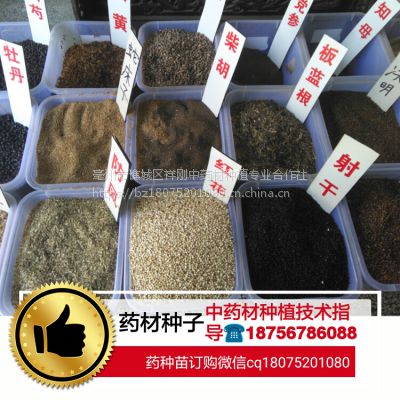 亳州市谯城区祥刚中药材种植专业合作社