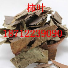 2019药材种子种苗价格 报价 药材种子种苗批发 第3页 种子网