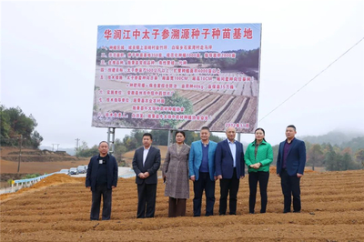 华润江中制药集团、中信中药饮片厂到施秉考察太子参种子种苗基地建设