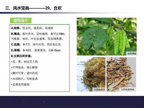 龙湖常用44种苗木的风水宝典 ,绝对干货