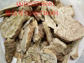 批发狼毒价格出售狼毒