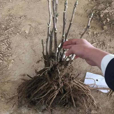 价格 厂家 中国供应商