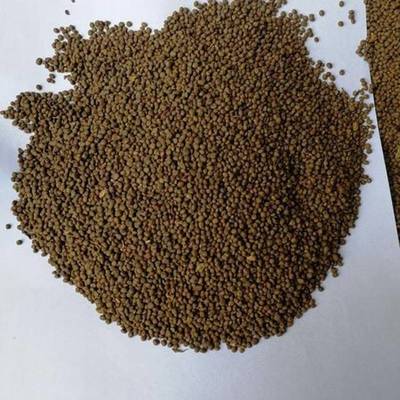 中药材种苗优良种子规模化种植与销售——以盛华基地为例