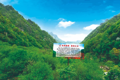 仲景宛西制药再度蝉联农业产业化国家重点龙头企业，强化药材种子种苗全产业链布局