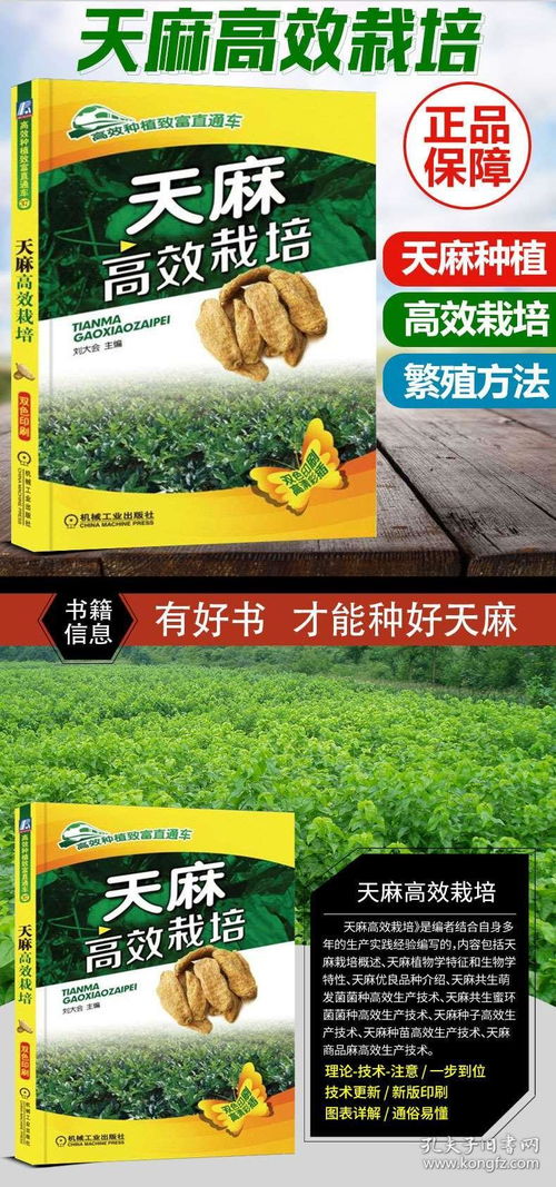 天麻高效栽培技术与病虫害综合防治
