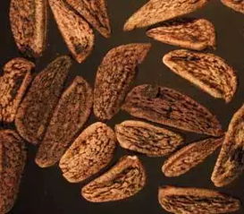 中药材种子种苗标准研究即将隆重上市