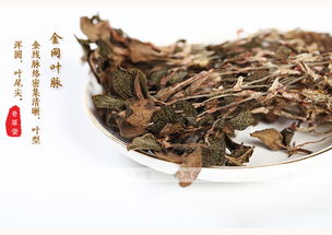 探寻养生臻品 福建南靖野生金线莲及其产业生态